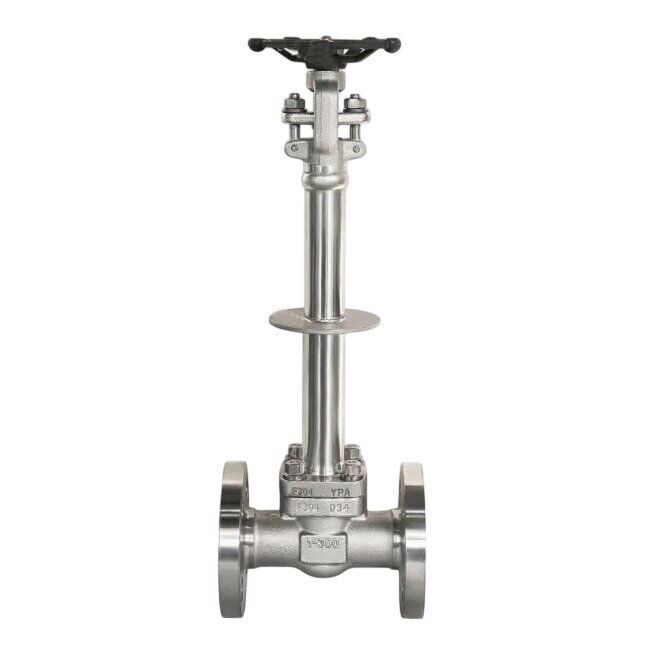 ASTM A182 F304 Cryogenic Gate Valve, BS 6364, 1 Inch, CL300