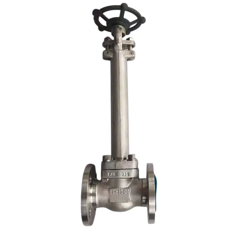ASTM A182 F316 Cryogenic Gate Valve, API 602, BS 6364, 1 IN