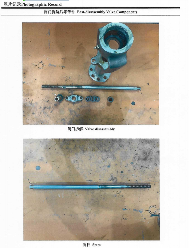Low-temperature Valves Test Photographic Record