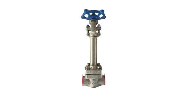 API 602 Cryogenic Gate Valve, BS 6364, A182 F316L, 1/2 Inch | Magpie