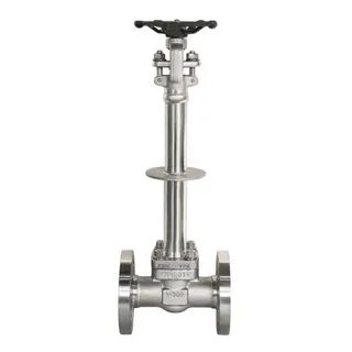 ASTM A182 F304 Cryogenic Gate Valve, BS 6364, 1 Inch, CL300