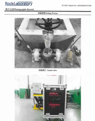 Low-temperature Valves Testing Process