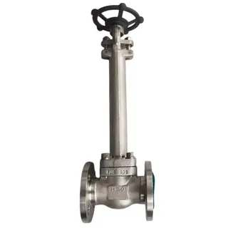 ASTM A182 F316 Cryogenic Gate Valve, API 602, BS 6364, 1 IN