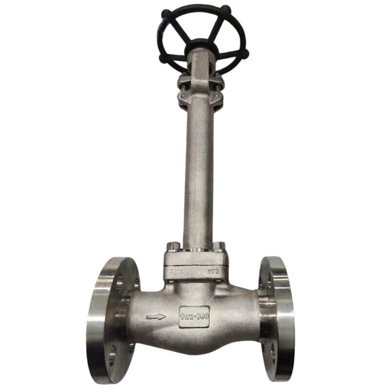 Low Temperature Globe Valve, API 602, BS 6364, F304, 1.5 IN