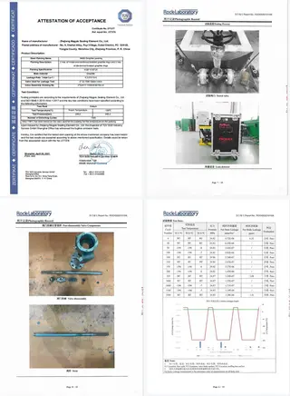 Globe Valve, Class 1500 LB, -196°C, ISO 15848-1 Type Test TUV SÜD Certification