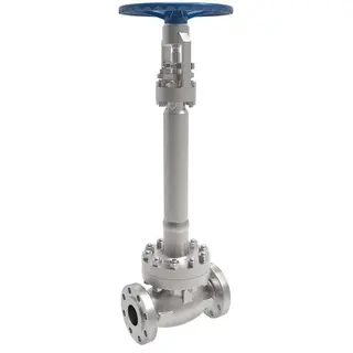 ASTM A182 F304L Cryogenic Globe Valve, BS 6364, 2 IN, CL600