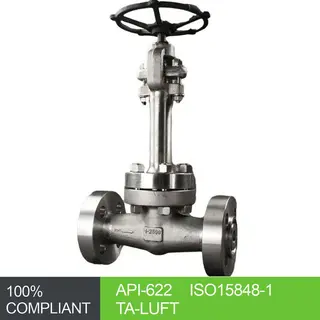 ASTM A182 F316 Cryogenic Globe Valve, BS 6364, API 602, 1 IN