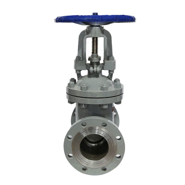 ASTM A216 WCB Wedge Gate Valve