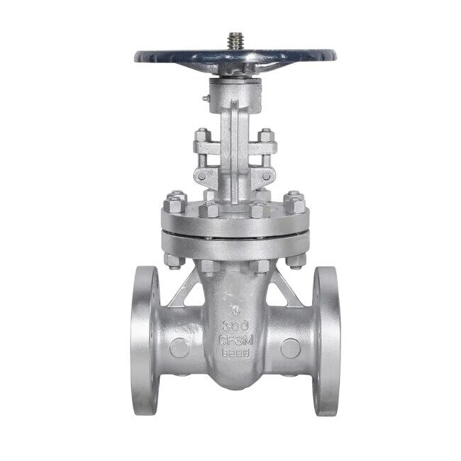 ASTM A351 CF3M Gate Valve, API 600, 3 Inch, CL300, Full Port