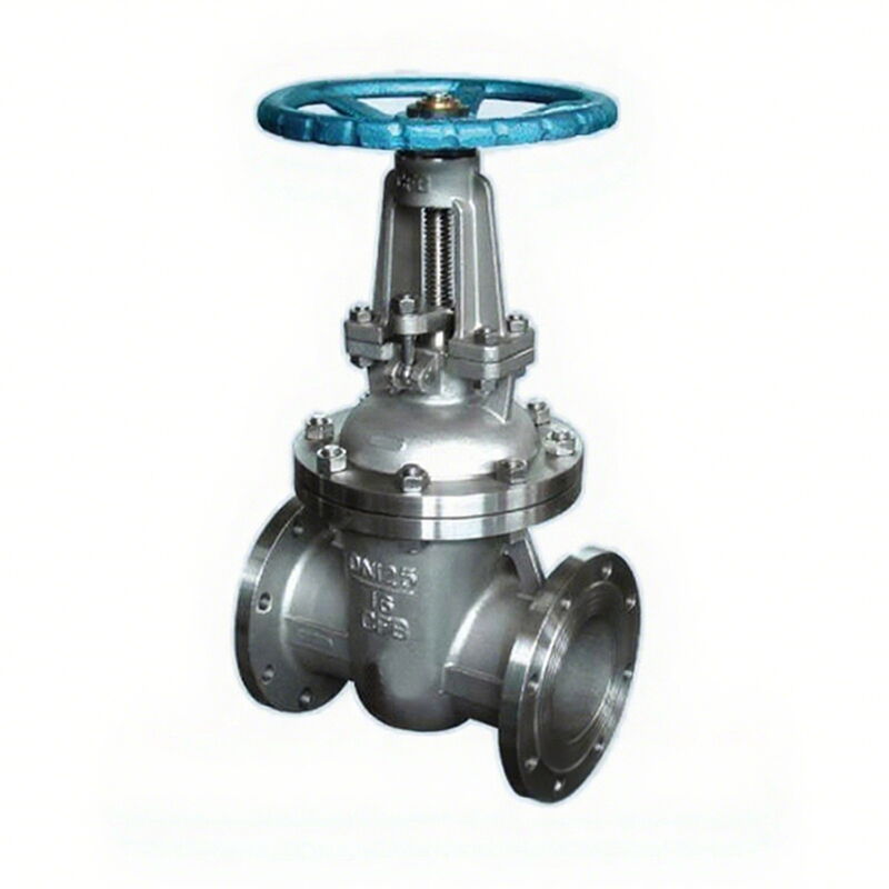 ASTM A351 CF8 Gate Valve, API 600, DN125, PN16, Bolted Bonnet