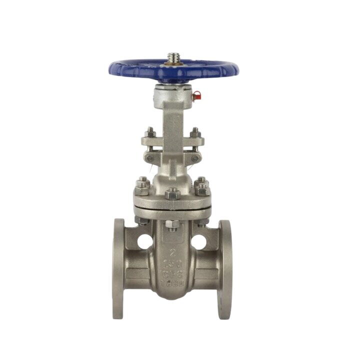 ASTM A351 CF8 Wedge Gate Valve, API 600, API 6D, 2 IN, CL150
