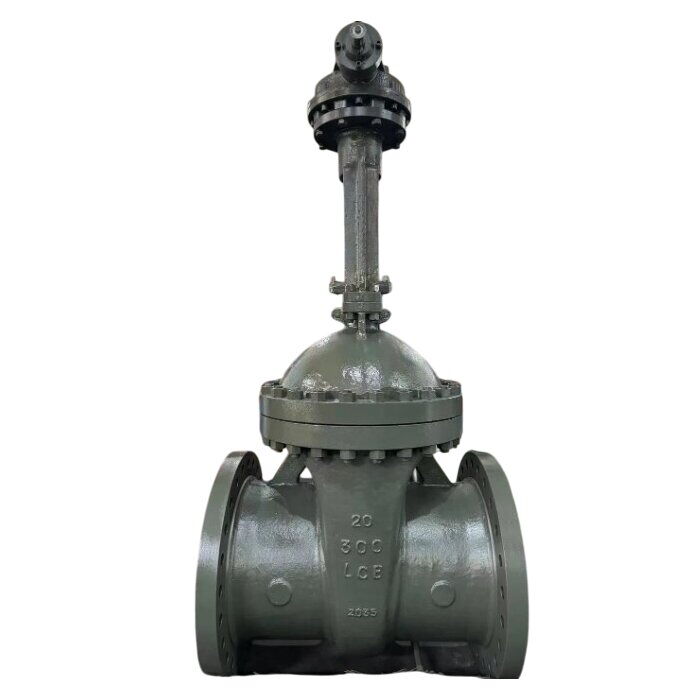 ASTM A352 LCB Gate Valve, API 600, 20 Inch, CL300 LB, BB, RF