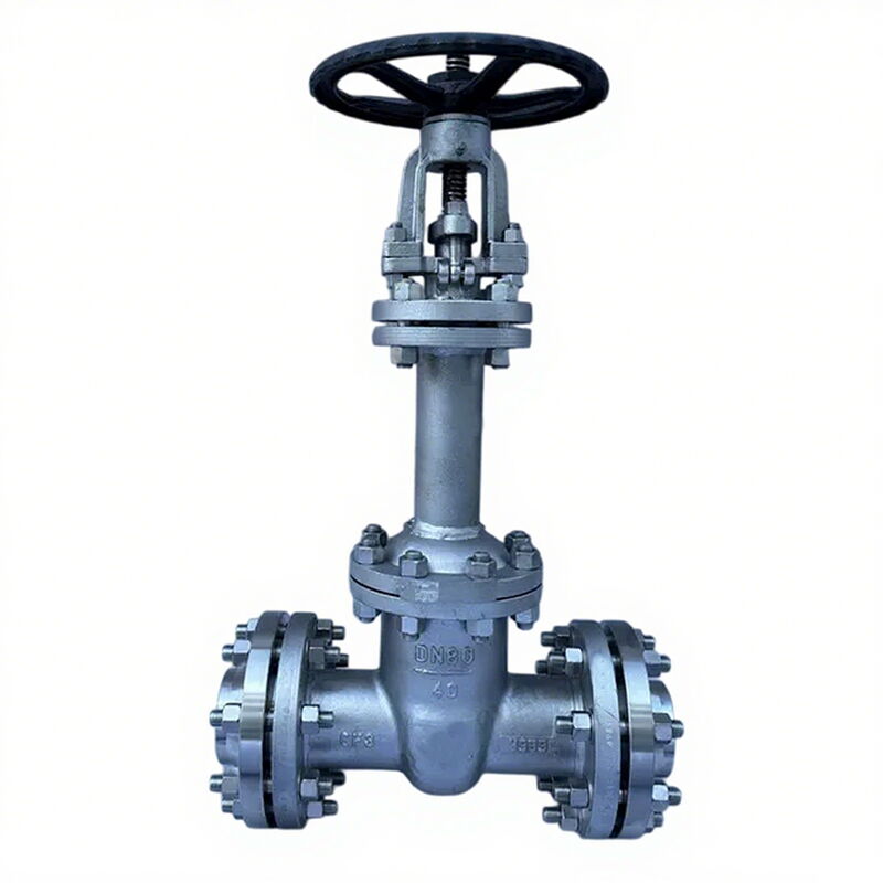 Bellows Sealed Gate Valves, DIN 3352, A351 CF3, DN80, PN40