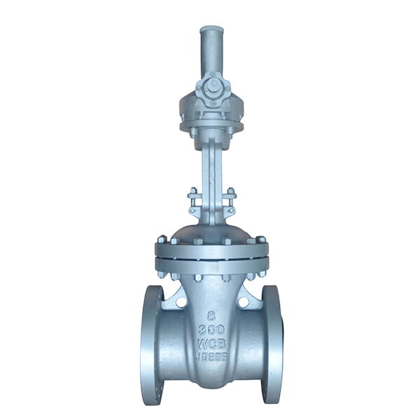 Bolted Bonnet Gate Valve, API 600, A216 WCB, 8 IN, CL300, RF