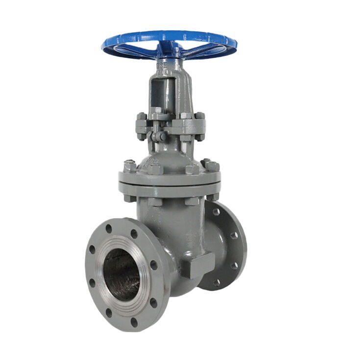 Carbon Steel Flanged Gate Valve