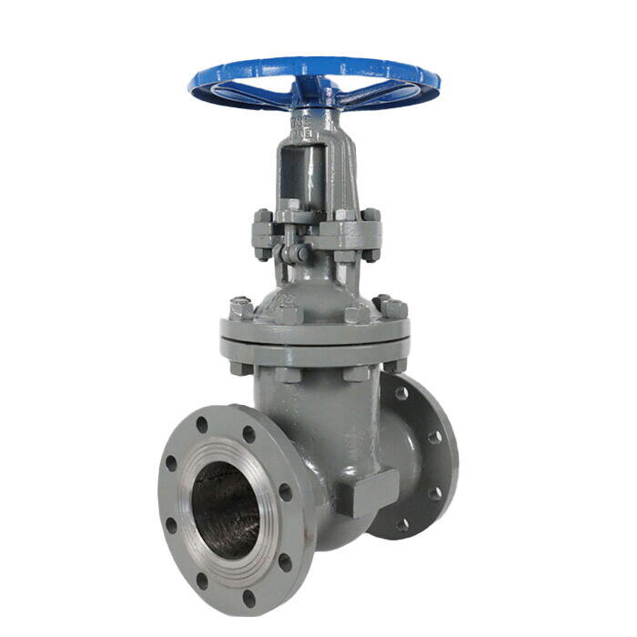 Carbon Steel Flanged Gate Valve
