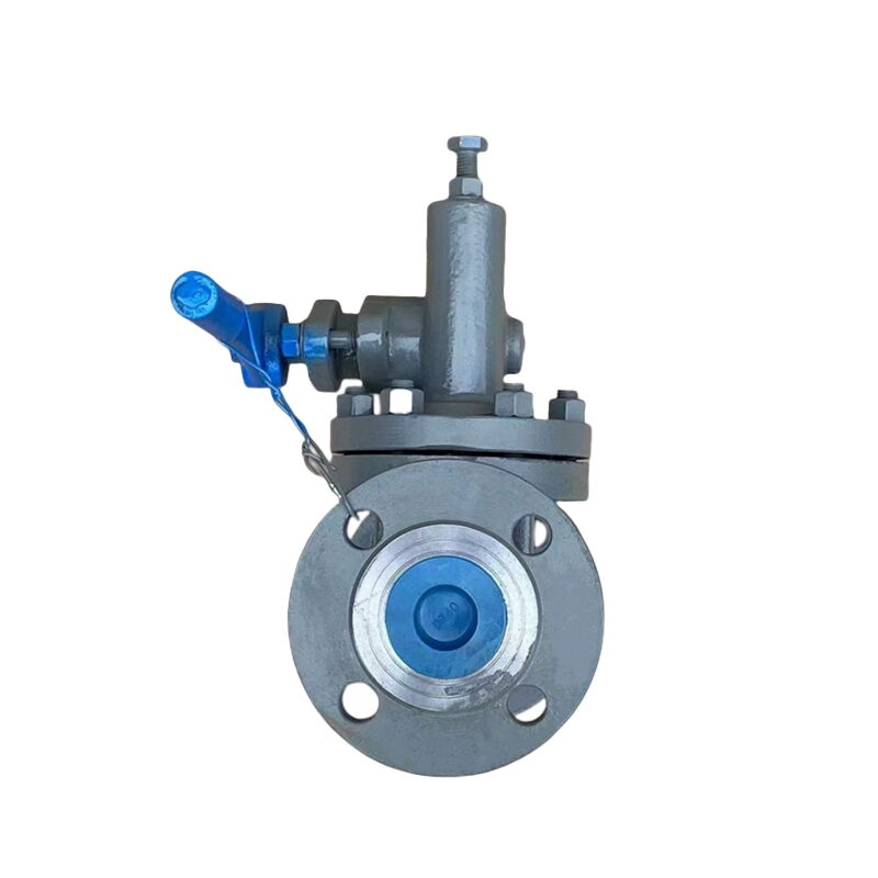 Carbon Steel Quick Blowdown Valve