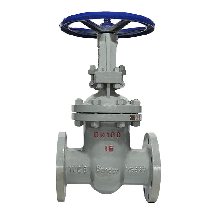 Carbon Steel Wedge Gate Valve, API 600, 1/2-24 Inch, Flanged