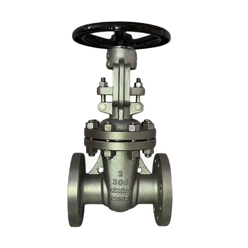 Duplex 2205 Gate Valve, API 600, 2 Inch, CL300, OS&Y, BB, RF