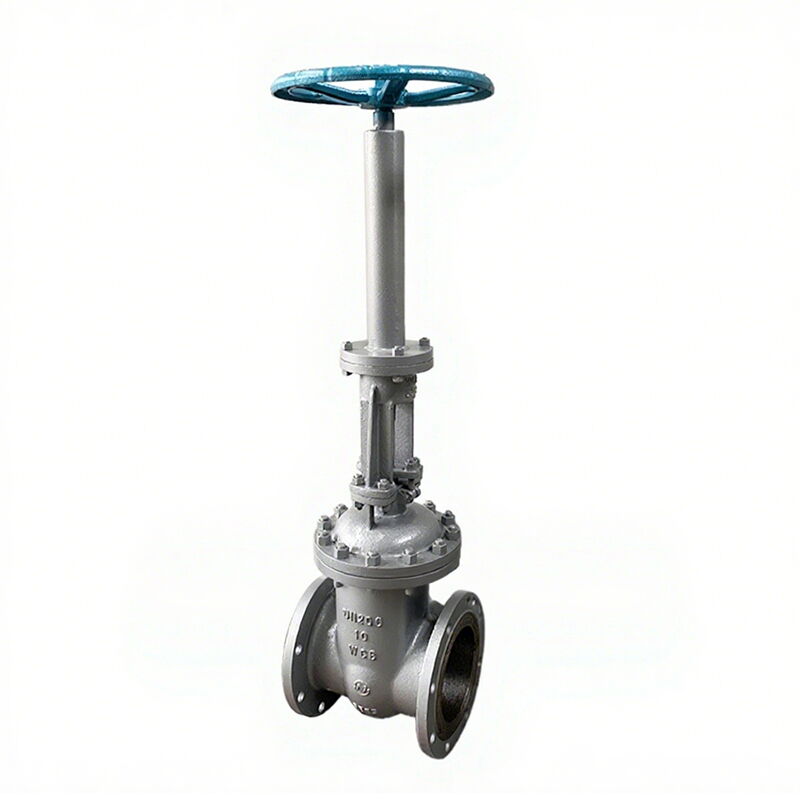 Extended Stem Gate Valve, API 600, ASTM A216 WCB, DN200, PN10