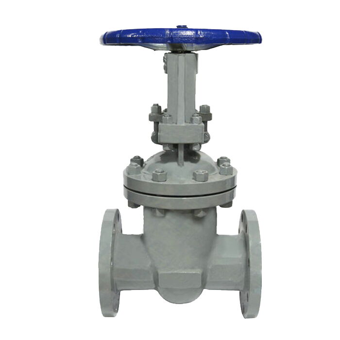 Flanged Wedge Gate Valve