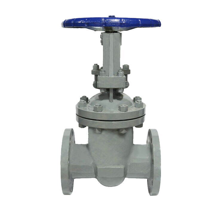 Flanged Wedge Gate Valve