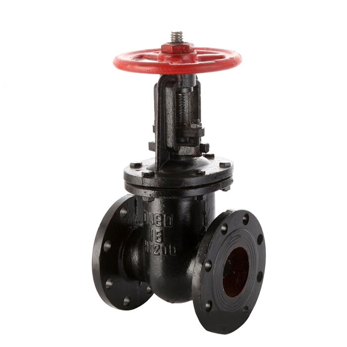 HT200 Rising Stem Gate Valve, Gray Cast Iron, DN80, PN16, RF