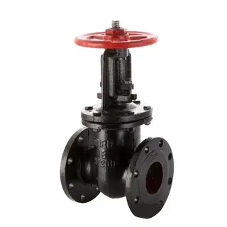 HT200 Rising Stem Gate Valve, Gray Cast Iron, DN80, PN16, RF