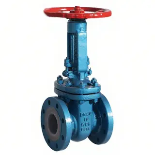 Fluorine-lined Gate Valve, API 600, A216 WCB, DN80, PN16, RF
