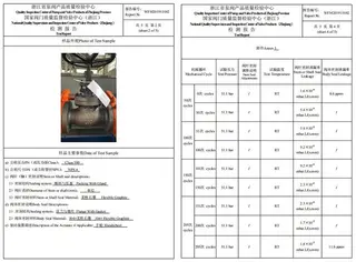 ISO 15848-1 Valve Tested Case Example