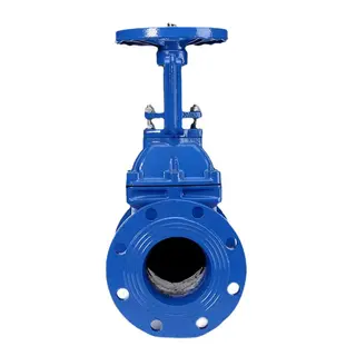 Rising Stem Gate Valves, DIN 3352, Ductile Iron, DN50-DN300