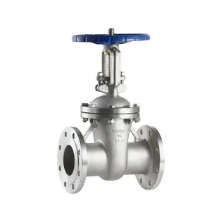 DIN 3352 Gate Valve, ASTM A351 CF8, DN100, PN16, 4 Inch, RS