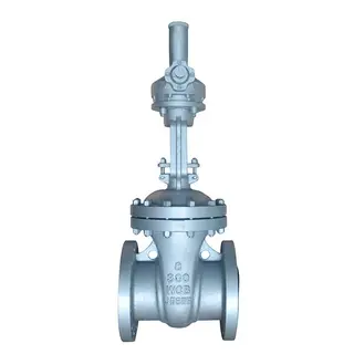 Bolted Bonnet Gate Valve, API 600, A216 WCB, 8 IN, CL300, RF
