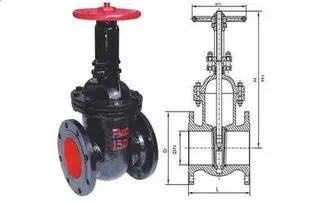 HT200 Rising Stem Gate Valve Structural Diagrams