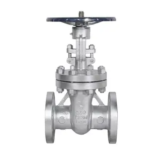 ASTM A351 CF3M Gate Valve, API 600, 3 Inch, CL300, Full Port