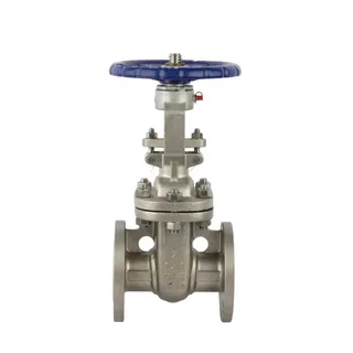 ASTM A351 CF8 Wedge Gate Valve, API 600, API 6D, 2 IN, CL150
