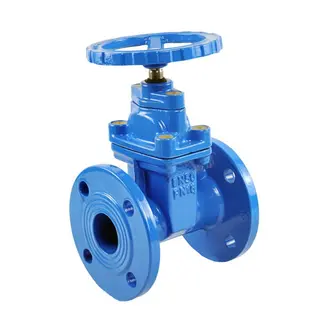Non-rising Stem Gate Valve, API 600, Ductile Iron, DN50, PN16