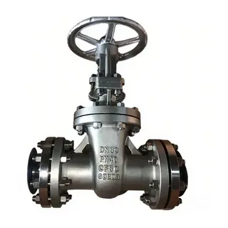 ASTM A351 CF8C Gate Valve, API 600, DN80, PN40, 3 IN, Flanged
