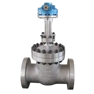 ASTM A351 CF8M Gate Valves, API 600, 10 Inch, CL600, Flanged