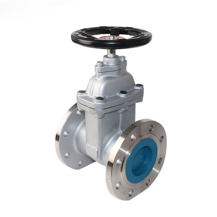 Soft Seal Wedge Gate Valve, Stainless Steel, DN15-DN600, NRS