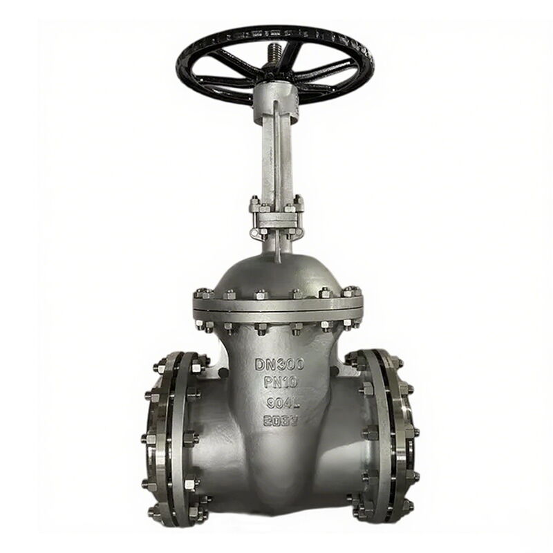 SS 904L Wedge Gate Valve, API 600, DN300, PN10, 12 Inch, RF