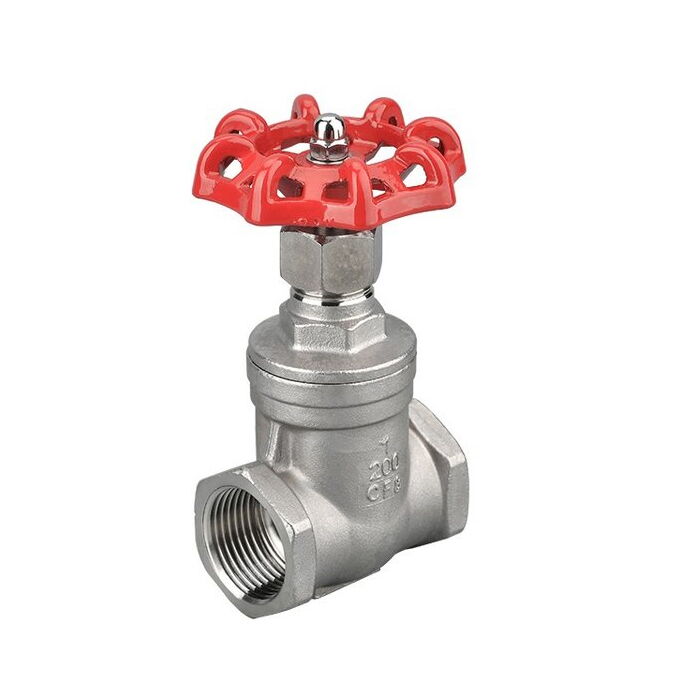 Stainless Steel Gate Valve, SS 304/316, DN15-DN100, 200 PSI