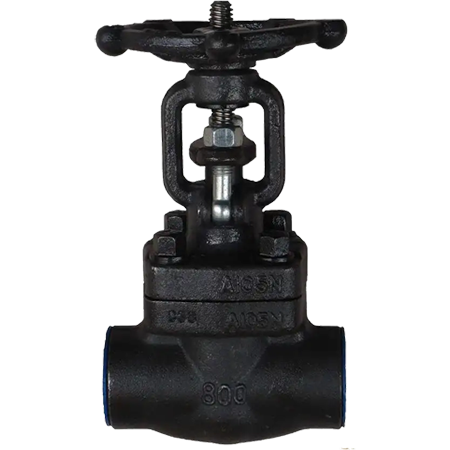 3/4 Inch Gate Valve