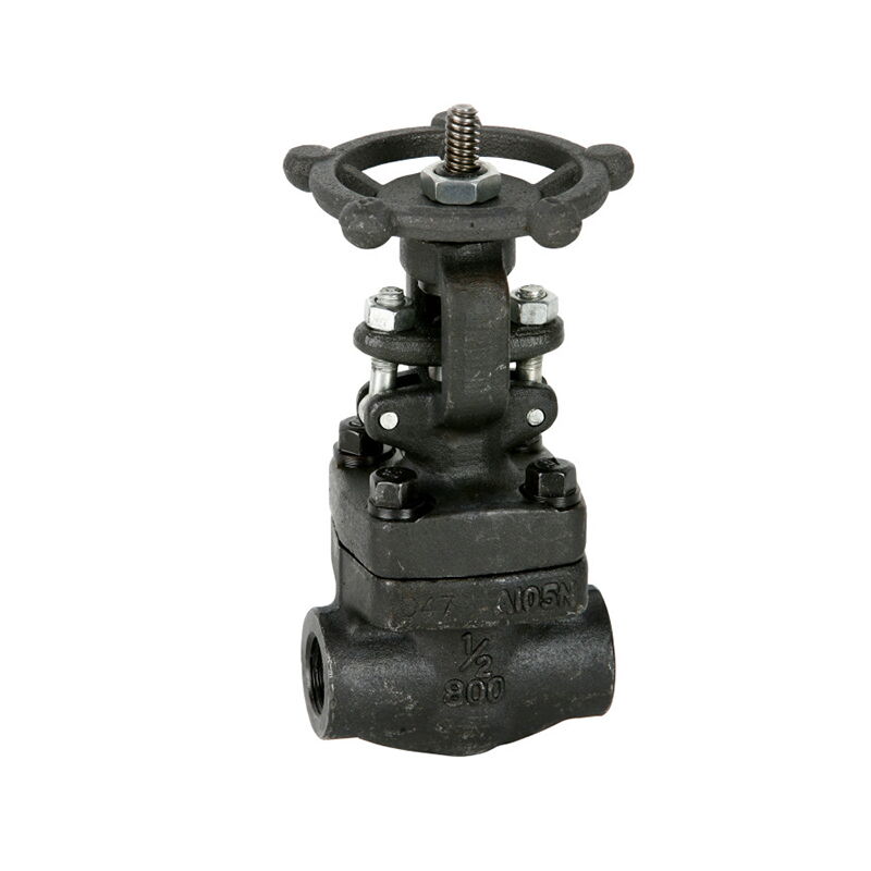 ASTM A105N Gate Valve, API 602, ISO 15761, 1/2 IN, CL800, SW