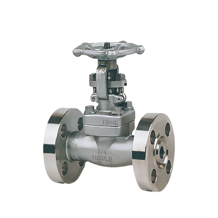 ASTM A182 F304L Gate Valves, API 602, 3/4 Inch, 1500 LB, RTJ