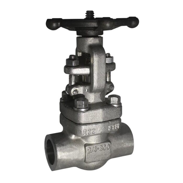 ASTM A182 F316 Gate Valve, API 602, 3/4 Inch, 800 LB, BB, SW