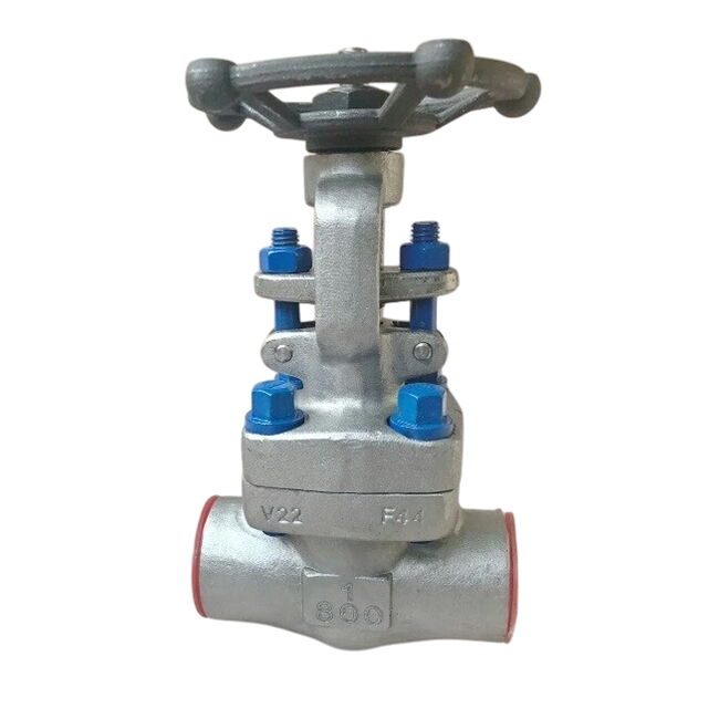 ASTM A182 F44 Gate Valves, 1 Inch, 800 LB, Bolted Bonnet, SW