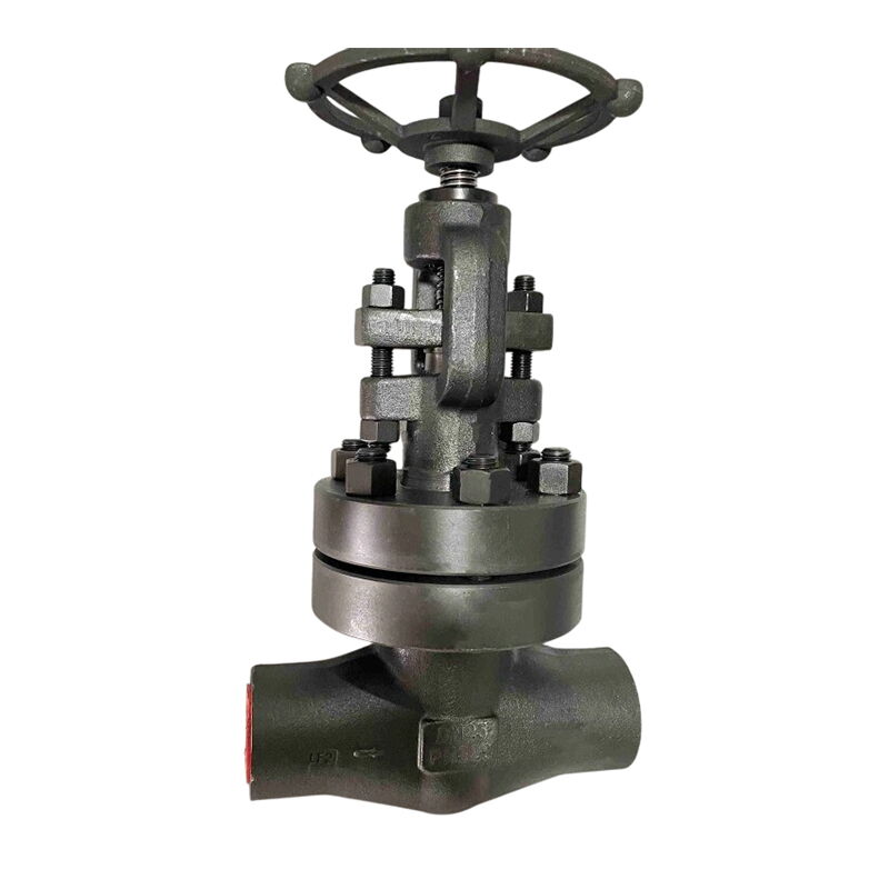 ASTM A350 LF2 Gate Valve, BS 5352, DN25, PN320, 1 Inch, NPT