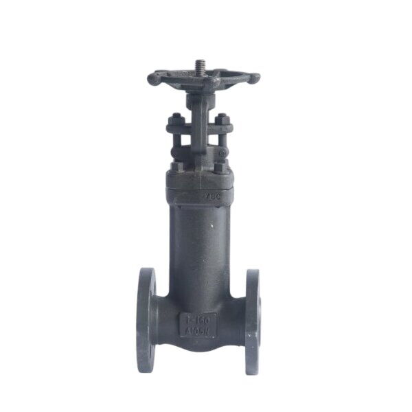 Bellows Sealed Gate Valve, API 602, A105N, 1 Inch, CL150, BB