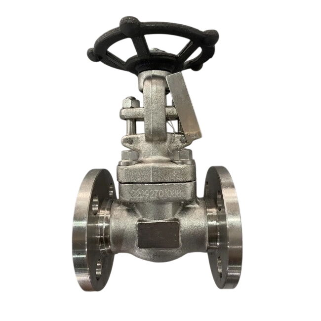 Integral Flanged Gate Valve, API 602, A182 F304, 1 IN, CL150